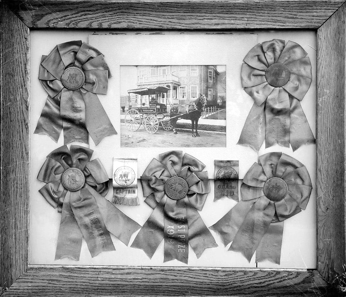 Vintage rosettes from William Hodges prior employer